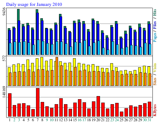 Daily usage for January 2010