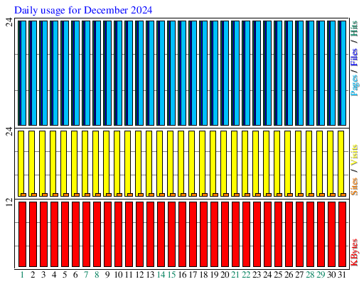 Daily usage for December 2024