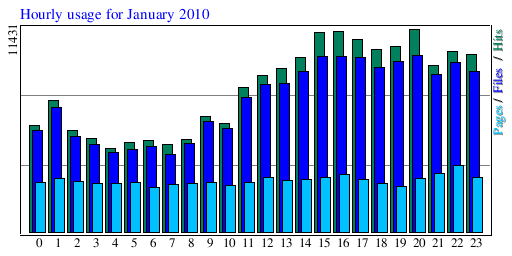 Hourly usage for January 2010