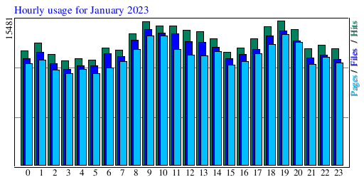Hourly usage for January 2023
