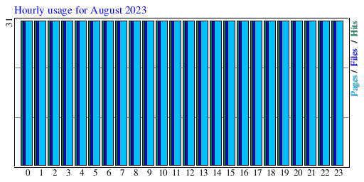 Hourly usage for August 2023