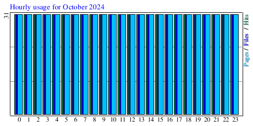 Hourly usage for October 2024