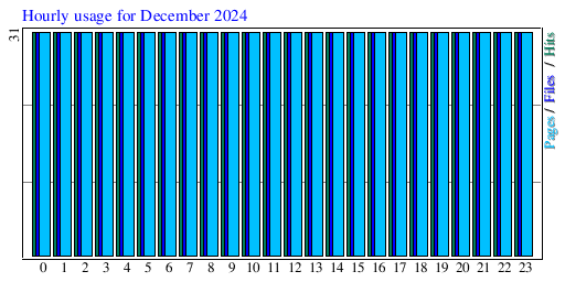 Hourly usage for December 2024