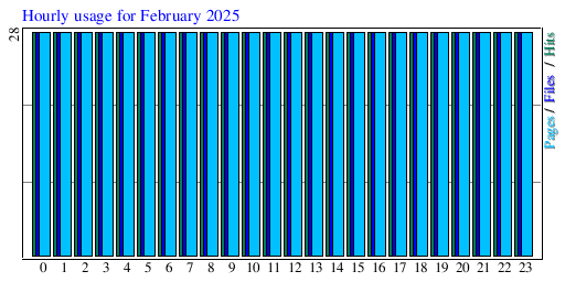 Hourly usage for February 2025