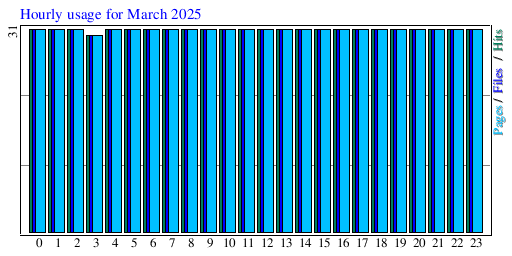Hourly usage for March 2025