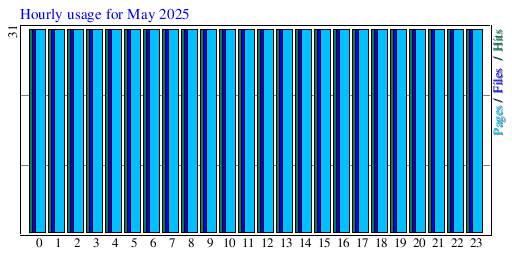 Hourly usage for May 2025