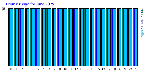 Hourly usage for June 2025