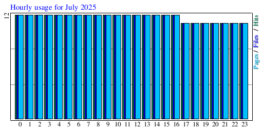 Hourly usage for July 2025