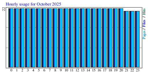 Hourly usage for October 2025