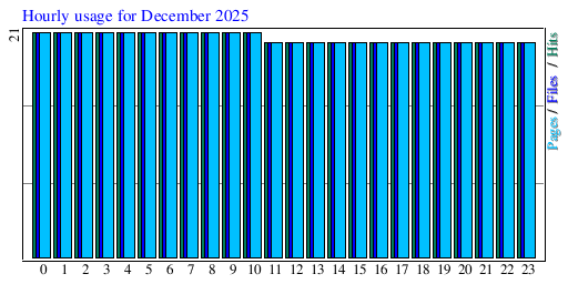 Hourly usage for December 2025