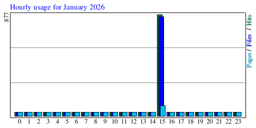 Hourly usage for January 2026