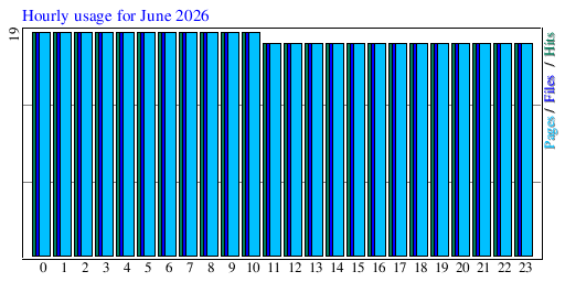 Hourly usage for June 2026